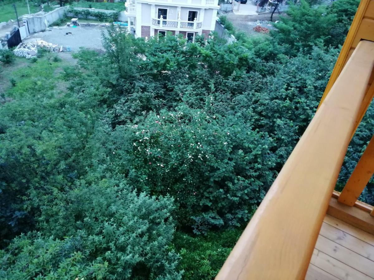 Деревянный Котеж The 1 С Выдом На Город Batumi Exterior foto